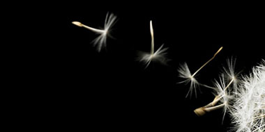 PwC Limited Assurance Report – 2024（英語）